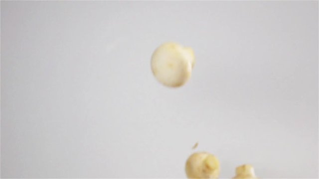 Champignons in the Kitchen. Button mushrooms thrown up on a white bg. Pieces hang in the air. Filmed at a speed of 500fps