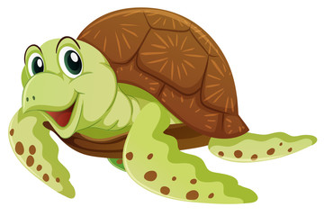Sea turtle with happy face