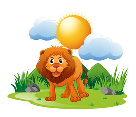 Obraz na płótnie Canvas Lion standing on grass