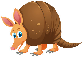 Cute armadillo on white background
