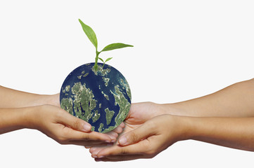hand hold earth and small tree, concept in save world, Energy and environment conservation, Elements of this image funeshed by NASA