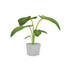 big leave houseplant in ceramic pot in 3D rendering