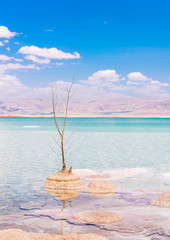 View of Dead Sea coastline. Texture of Dead sea. Salty sea shore