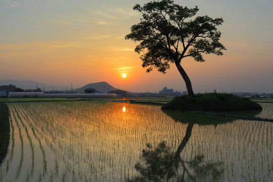 8 Best 古宮土壇 Images Stock Photos Vectors Adobe Stock