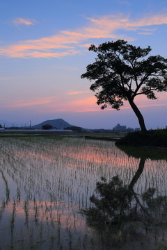 8 Best 古宮土壇 Images Stock Photos Vectors Adobe Stock