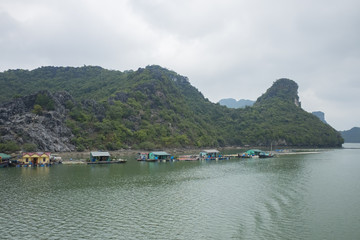 Vietnam Island Cat ba Halong. Group of rocky islands covered with vegetation in azure sea. Sand beach. Blue cloudless sky