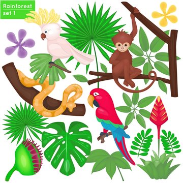 Rainforest and jungle life set. Tropical animals and plants. Vector  illustration. Cartoon style Stock Vector | Adobe Stock
