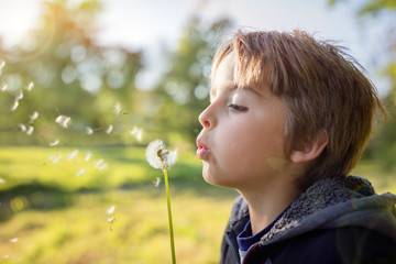 Dandelion wishes of a child