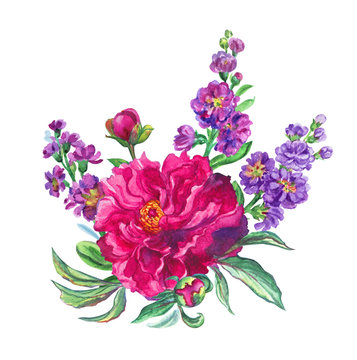 A bouquet of a collection of year-old pion and gillyflowers, a watercolor illustration on a white background.