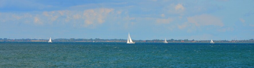 Obraz premium Stock Foto