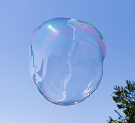 Big soap bubble against the blue sky