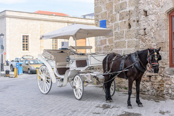 A white carriage harnessed by a black horse stands on a city street