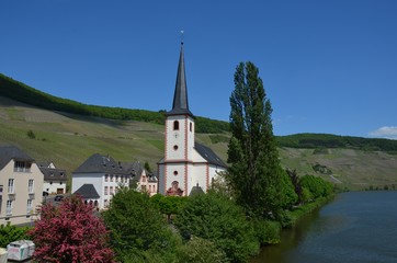 Fototapeta na wymiar Mosel bei Piesport