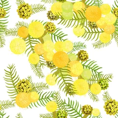 Foto op Plexiglas Seamless pattern Branch of mimosa acacia silvery whitened   illustration © orpoliii