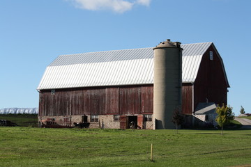 Barn with cows.