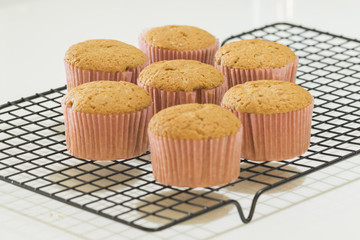 seven newly made cinnamon cupcakes in a cooling rack
