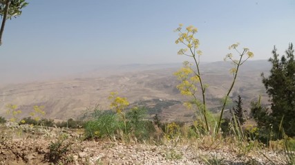   the valley of golan nature and nature