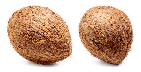 Coconut isolated on white background. Collection. Full depth of field.