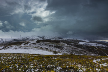 Mountain with trees and snow on a stormy day