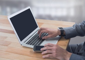 Businessman on laptop by windows