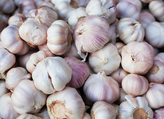 Garlic. Organic vegetable. Food background.