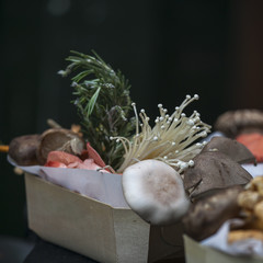 Pink and yellow oyster mushrooms, full frame on a market stall at London's Borough Market, Southwark
