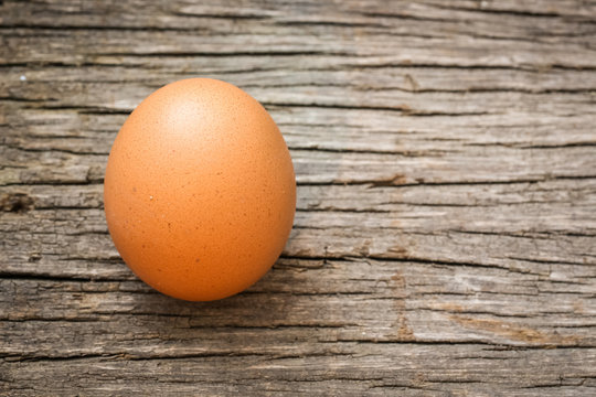 One Single simple of egg on wooden table with copy space