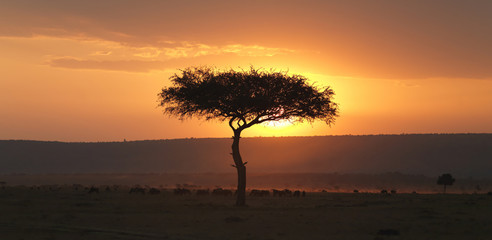 Fototapeta na wymiar Sunrise Sunset, Kenya, Africa