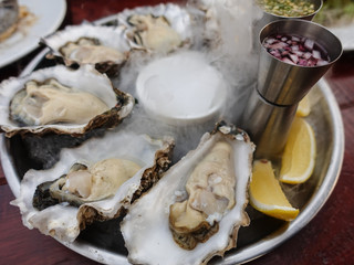 fresh oyster dish with sauce