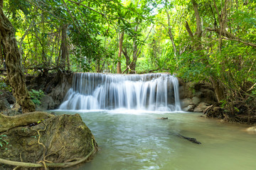 Fototapeta na wymiar Green nature with green waterfall landscape