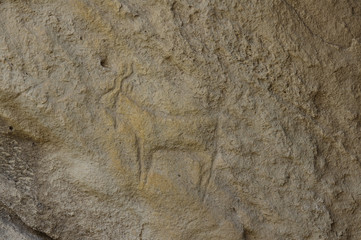 Petroglyphs made by primeval man. Gobustan national park. Azerbaijan
