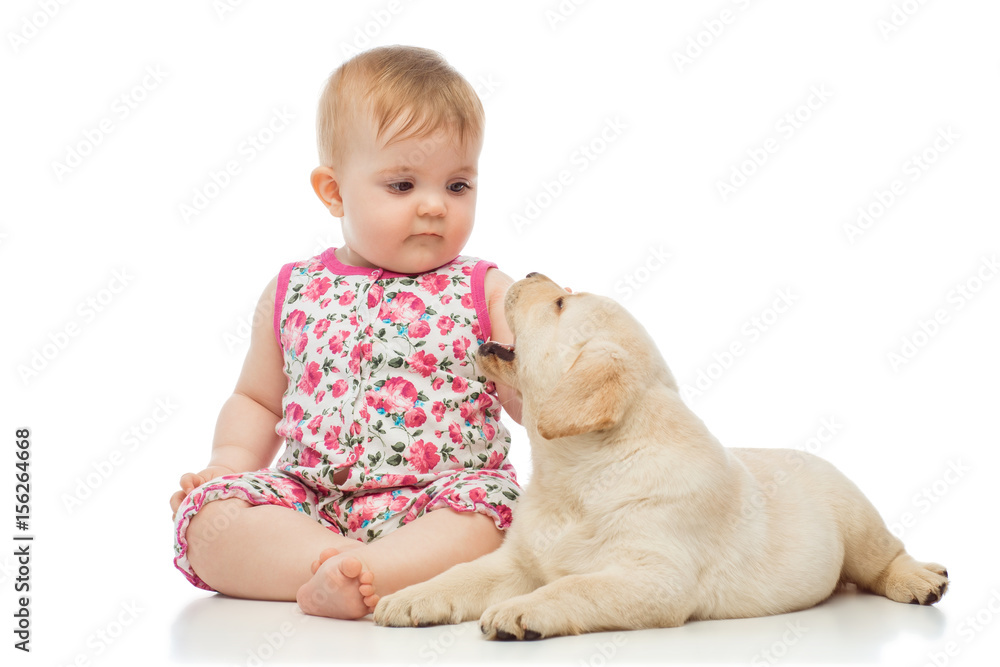 Sticker Little baby girl with labrador puppy, isolated on white