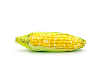 Isolated two tone sweet corn on white background