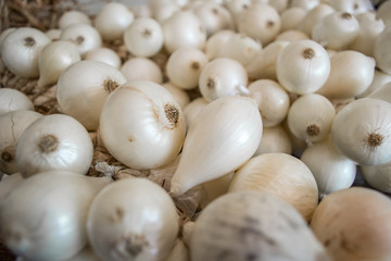 White Onions