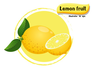 Vector Lemon fruit isolated on color background,illustrator 10 eps