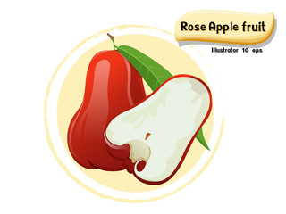 Vector Rose apple fruit isolated on color background,illustrator 10 eps
