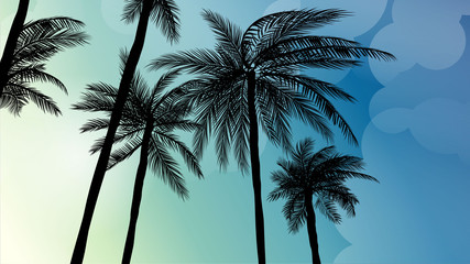 Fototapeta na wymiar Summer Palm Sunset