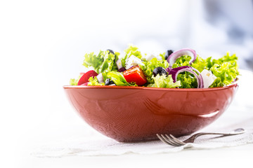 Salad. Vegetable salad. Spring vegetable salad.Fresh vegetable salad with tomatoes onion cheese and olives.