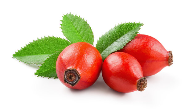 Rosehip isolated on a white background. Fresh raw briar berries with leaves.