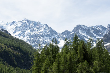 Paesaggio Alpino
