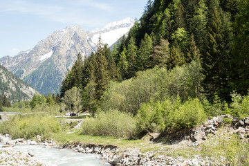 Paesaggio Alpino