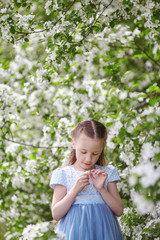 Cute little girl in blooming apple tree garden at spring