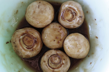 Mushrooms - Marinated