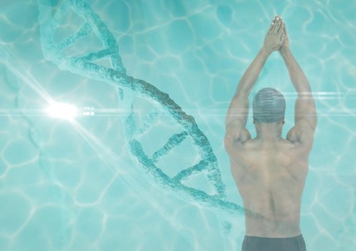 Swimmer with a dna chain and pool superposition