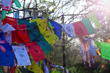 Buddhism prayer flags lungta with om mani padme hum mantra