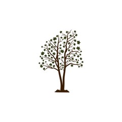 Obraz premium Oak vector illustration