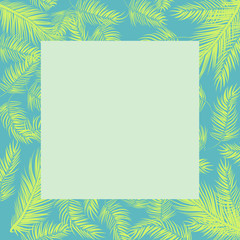 Summer Palm Background