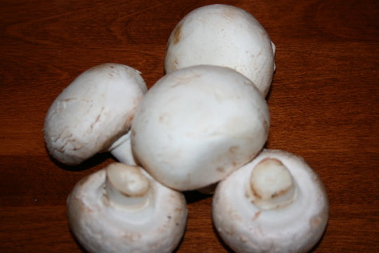 white stuffing mushrooms  om wood background
