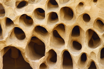 Wind eroded yellow limestone mountain with a lot of small holes