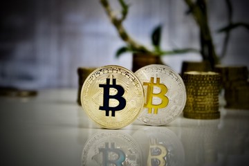 Gold and silver bitcoins